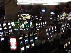 �J�W�m�̃X���b�g�@�{���͂��ʐ^�B�e�֎~�ł��B