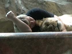 ������̂���������ꏏ�ɂ����Q�B���₢��A�����Ƃ����Q�Ȃ�Ăł��Ȃ��񂶂�Ȃ��H