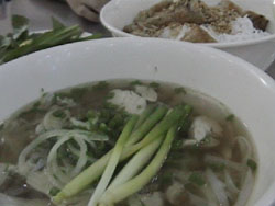 �t�H�[��(�F��Ȏ�ނ��I�ׂ܂��j